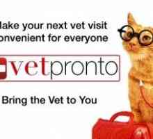 Vetpronto: un nuovo modo per il vostro gatto per vedere il veterinario