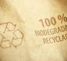 Quali sono i vantaggi dei prodotti biodegradabili