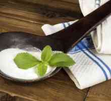 Quali sono le proprietà medicinali delle piante di stevia