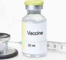 Che cosa è un vaccino?
