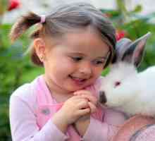 Perché un coniglio è l`animale domestico perfetto per la famiglia!