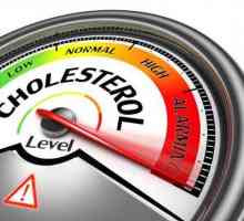 Perché ho il colesterolo alto