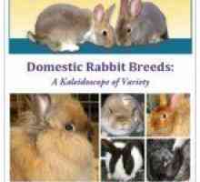 World of innalzamento rabbitsbooks ed e-book