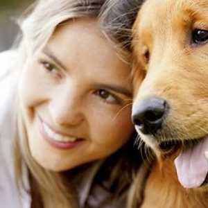 10 Motivi per datare un amante dei cani
