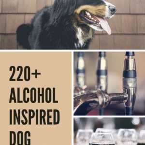 Oltre 220 nomi di cane di alcol di ispirazione Fun