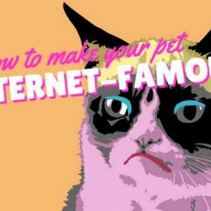 3 Suggerimenti rapidi per rendere il vostro animale domestico internet-famoso