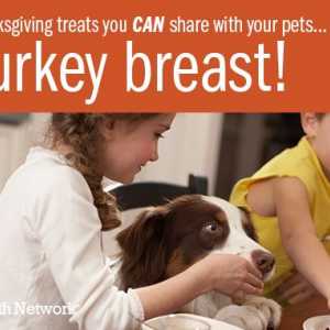 6 Ringraziamento tratta è possibile condividere con i tuoi animali!
