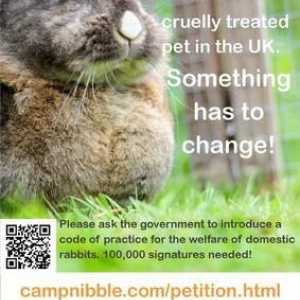 Animal Welfare Act e il codice di coniglio di pratica
