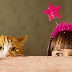 Gatti e bambini: mantenendo sia al sicuro