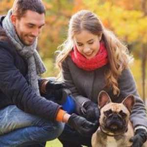 Incontri e cani: come il vostro cane può fare un casanova