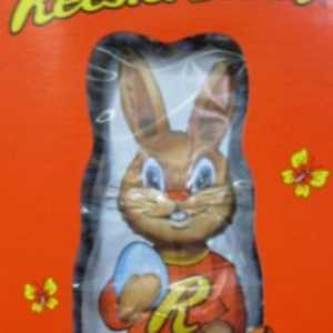 Coniglio di Pasqua: il cioccolato, o peloso?