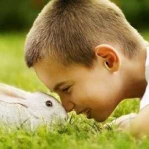 Divertirsi con il tuo coniglio