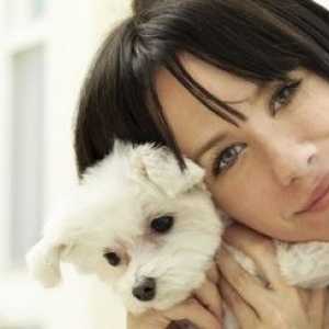 Linee guida di prevenzione Heartworm per i cani