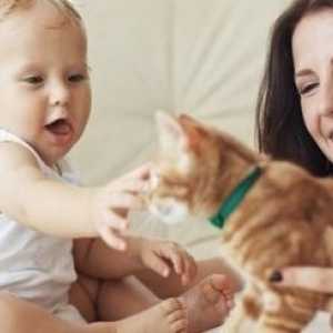Aiutare il vostro gatto e nuovo bambino andare d`accordo
