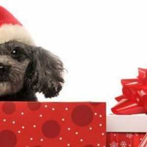 Aiuto regalo per l`amante del cane sulla vostra lista