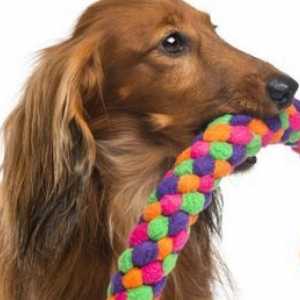 Home made giocattoli per il vostro cane