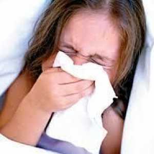 Home rimedi per l`influenza