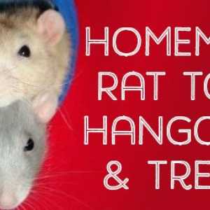 Giocattoli fatti in casa, letti, gabbie ed accessori per animali da compagnia ratti