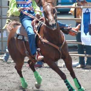 Punte di addestramento del cavallo: come allenarsi per barrel racing, con il video