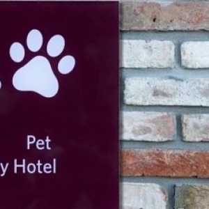 Galateo hotel per cani