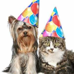 Come si calcola anni di cane e gatto anni?
