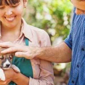 Quanto è importante la salute del vostro animale domestico?