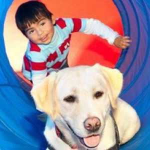 Come i cani di servizio per i bambini autistici stanno cambiando la vita