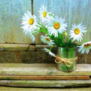 Come fare un vaso di fiori da materiale di scarto - 6 tutorial fai da te