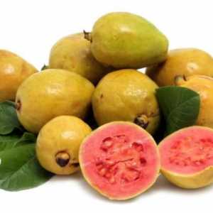 Come fare la marmellata guava a casa