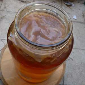 Come per fare il tè Kombucha a casa