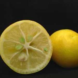 Come utilizzare limone per pulire