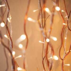 Idee per decorare con luci fatate