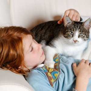 Bambini e gatti insieme: 7 cose da sapere