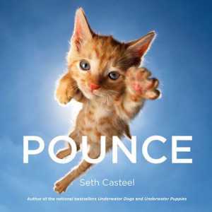 Nuovo libro cattura gattini di soccorso in azione