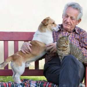 Novembre è il mese nazionale di adottare un animale domestico anziano