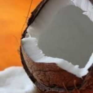 Modi adeguati per aprire una noce di cocco facilmente