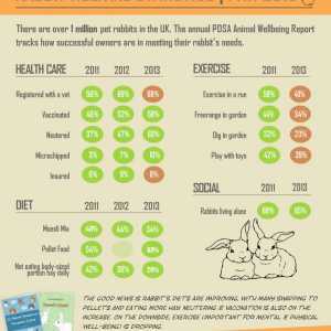 Statistiche benessere Coniglio - rapporto zampa 2013