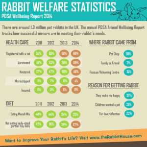 Statistiche benessere Coniglio - rapporto zampa 2014