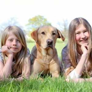 RSPCA invita i genitori a educare i bambini su come comportarsi intorno ai cani