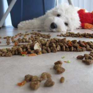 La selezione di cibo per cani di qualità