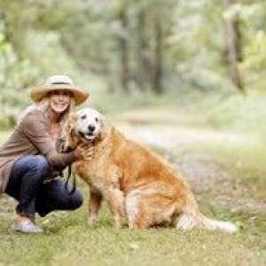 Sette consigli per migliorare la longevità del vostro cane invecchiamento