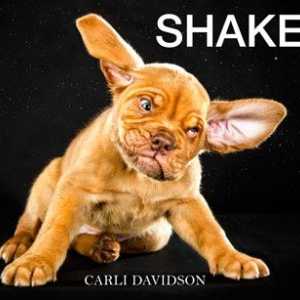 Shake it: fotografo cattura 61 cani a metà del movimento