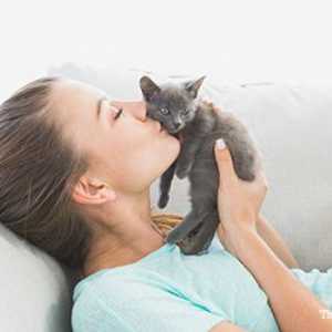 Sostenere la ricerca di salute del gatto