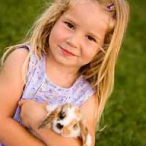 Insegnare ai bambini per essere al sicuro in giro gli animali domestici