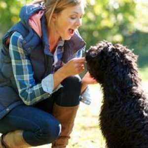 I 10 principi fondamentali di prendersi cura di un cane
