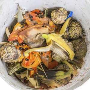 Le migliori scarti alimentari per il compost