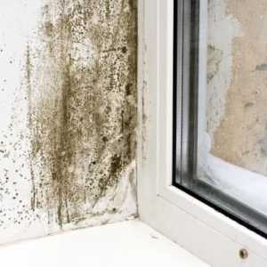 Trucchi per rimuovere l`umidità da casa tua
