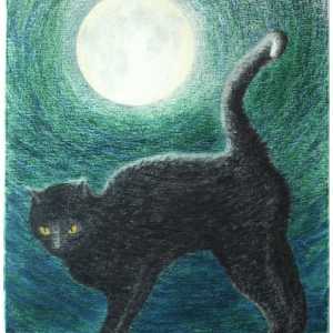 Quali sono i buoni nomi del gatto nero?