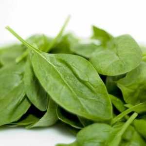 Quali sono i vantaggi di spinaci