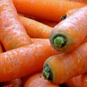 Quali sono i benefici per la salute di carote